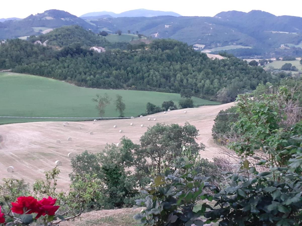 Ca' Gulino - Urbino - Villa Con Minipiscina In Borgo Antico Zewnętrze zdjęcie