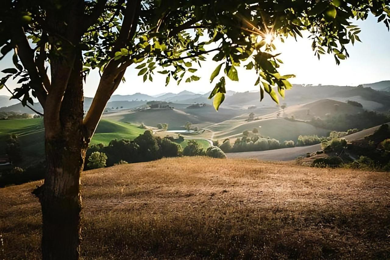 Ca' Gulino - Urbino - Villa Con Minipiscina In Borgo Antico Zewnętrze zdjęcie