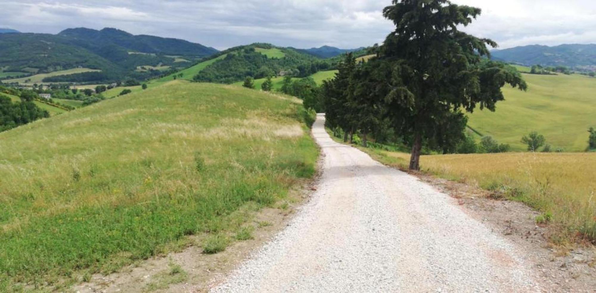 Ca' Gulino - Urbino - Villa Con Minipiscina In Borgo Antico Zewnętrze zdjęcie