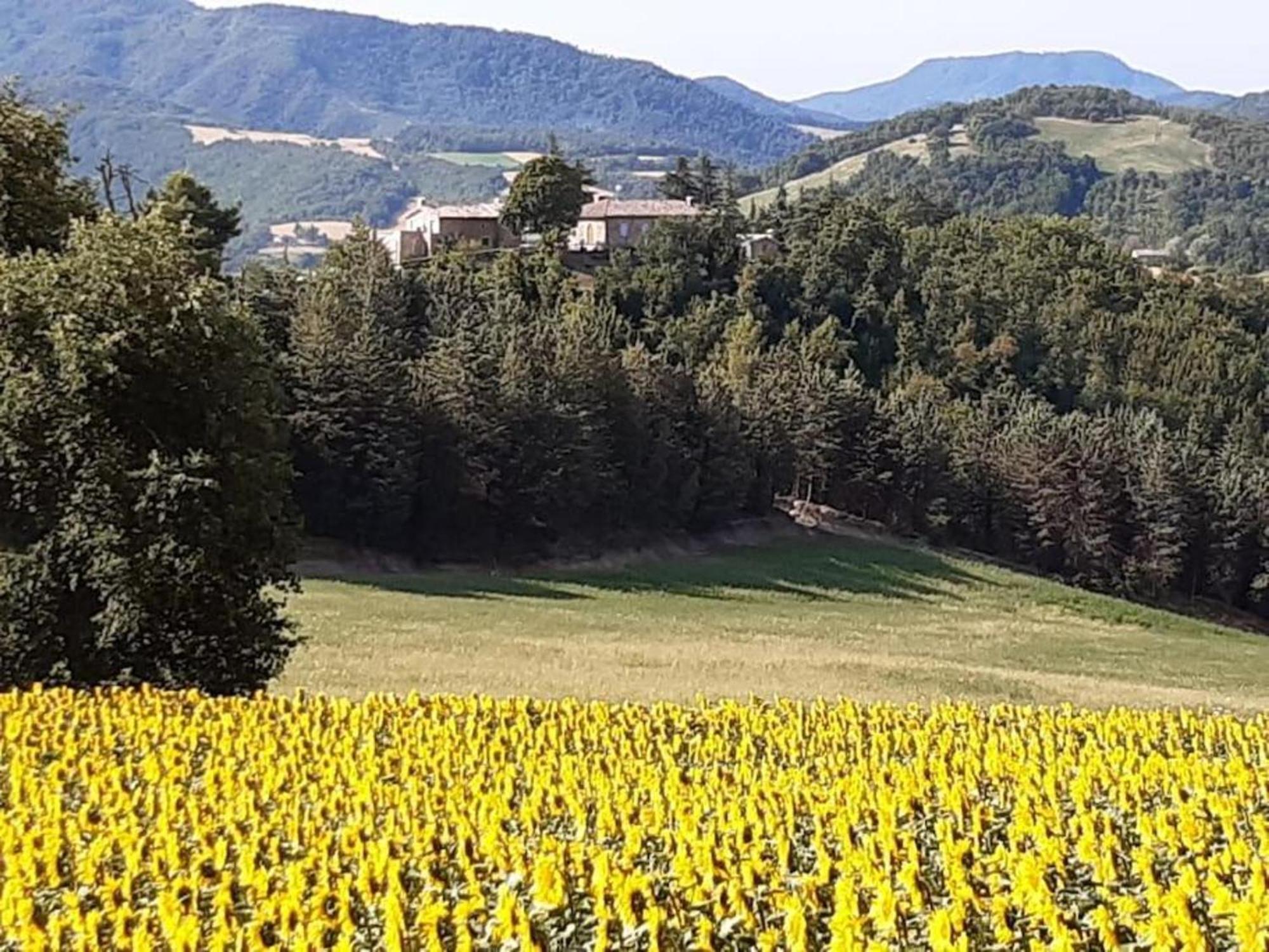 Ca' Gulino - Urbino - Villa Con Minipiscina In Borgo Antico Zewnętrze zdjęcie